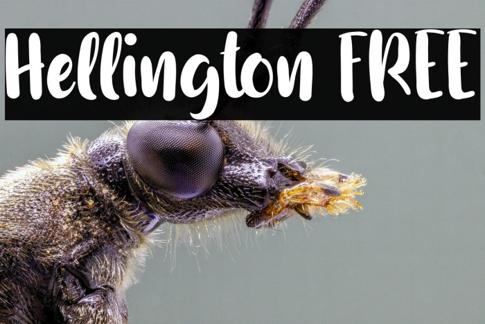 Hellington FREE Example 1