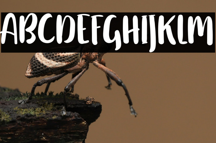 HellingtonFREE Example 1