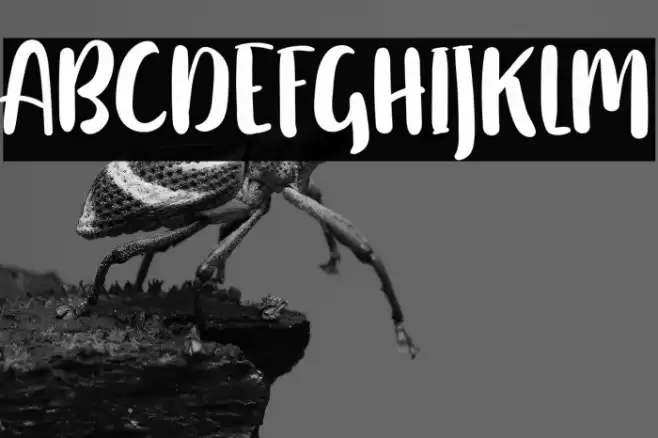 HellingtonFREE Font examples