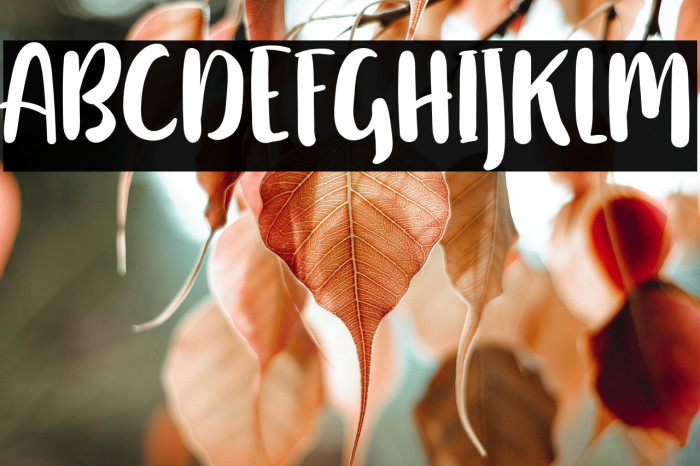 HellingtonFREE Example 2