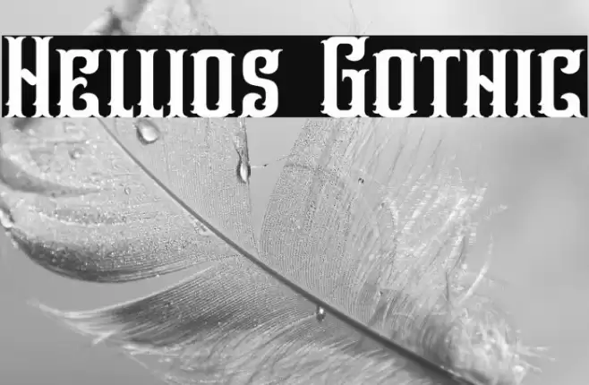 Hellios Gothic Font examples