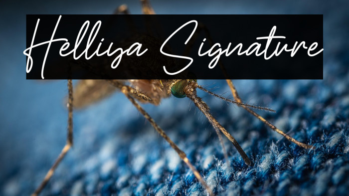 Helliya Signature Example 2