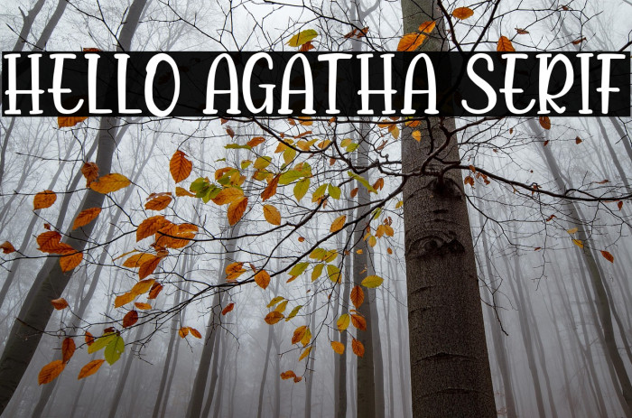 Hello Agatha Serif Example 2