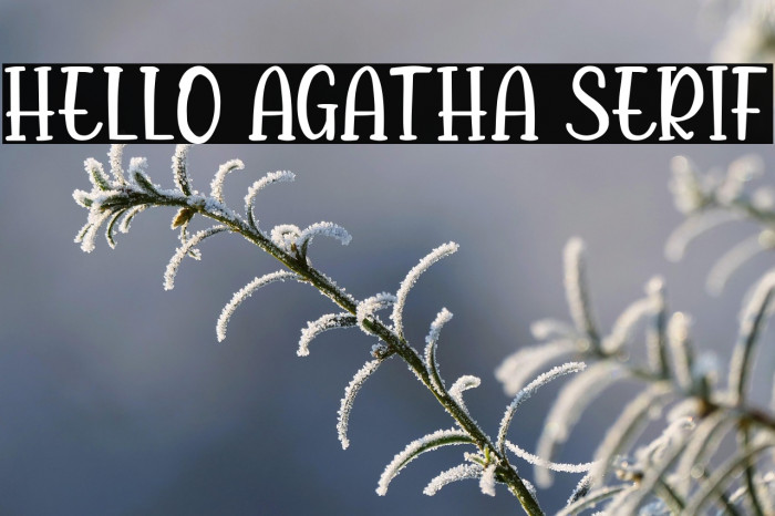 Hello Agatha Serif Example 3