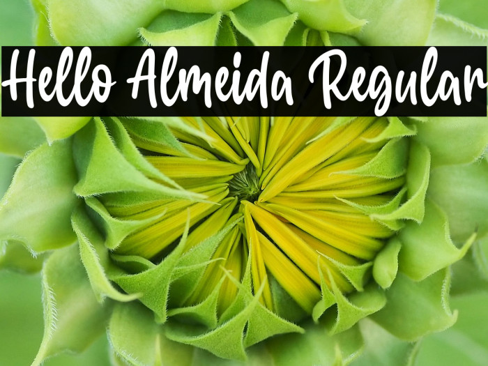 Hello Almeida Regular Example 2