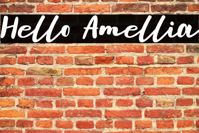 Hello Amellia Example 1