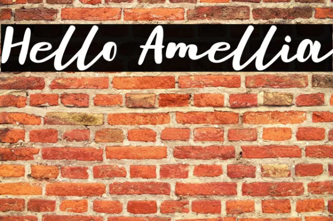 Hello Amellia Example 1