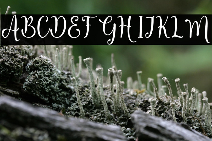 Hello Angeline Example 2