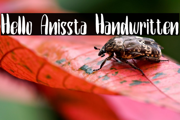 Hello Anissta Handwritten Example 1