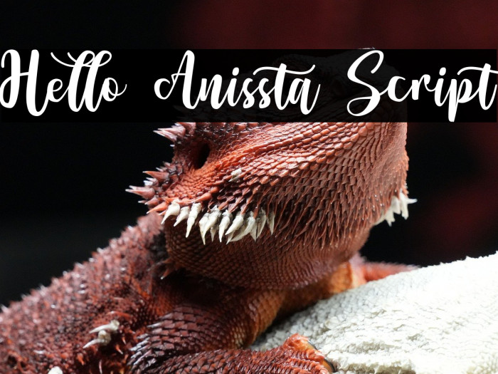 Hello Anissta Script Example 1