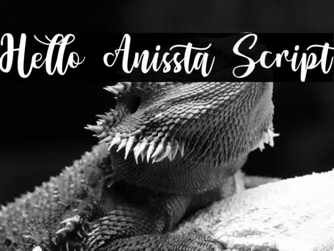 Hello Anissta Script Font examples