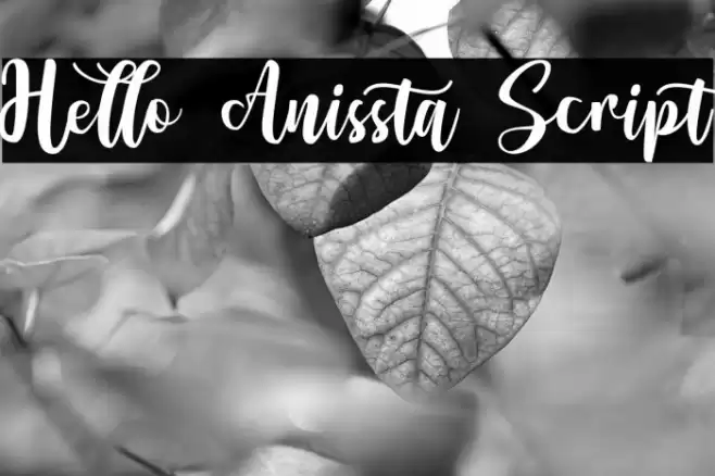 Hello Anissta Script Font examples