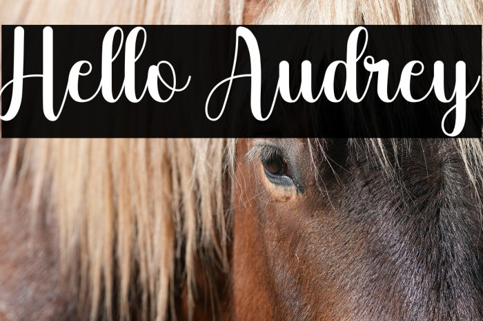 Hello Audrey Example 2