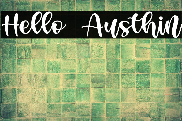 Hello Austhin Example 1