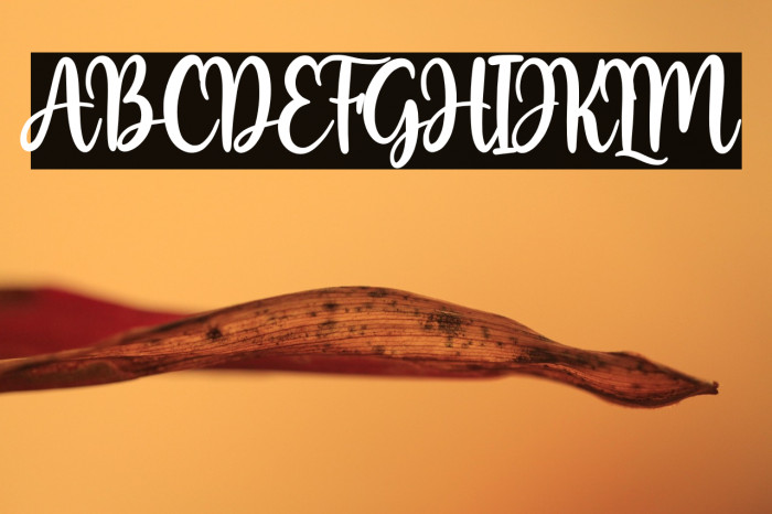 Hello Autumn Example 1