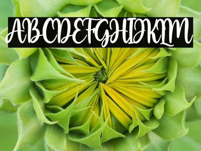 Hello Autumn Example 3