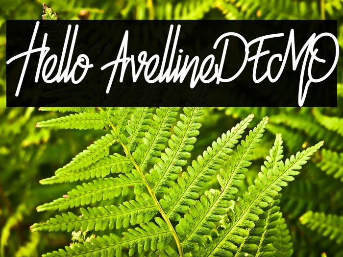 Hello Avelline-DEMO Example 3