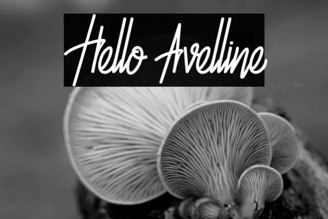 Hello Avelline Font examples