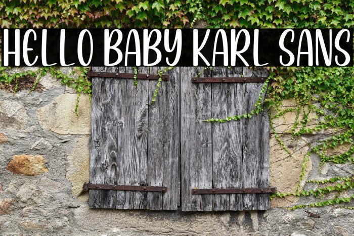 Hello Baby Karl Sans Example 2