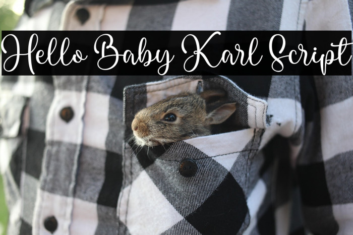 Hello Baby Karl Script Example 1