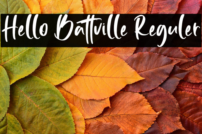 Hello Battville Reguler Example 2