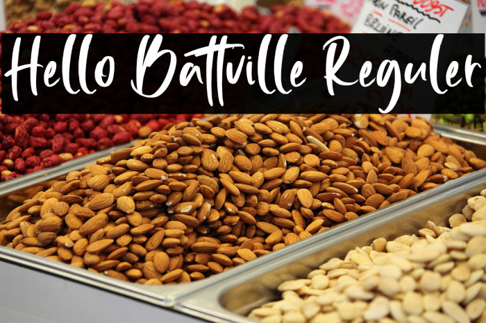 Hello Battville Reguler Example 3