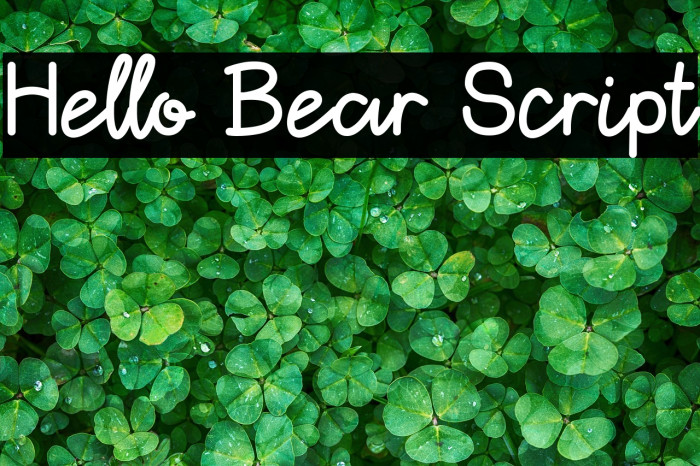 Hello Bear Script Example 2