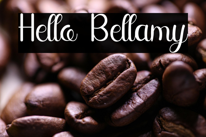 Hello Bellamy Example 1