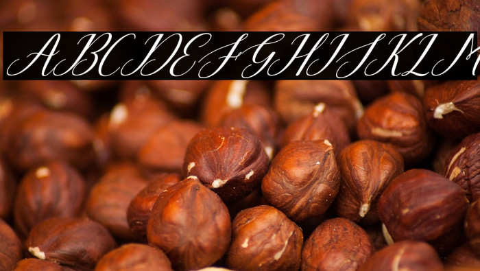 Hello Beloved Italic Example 3