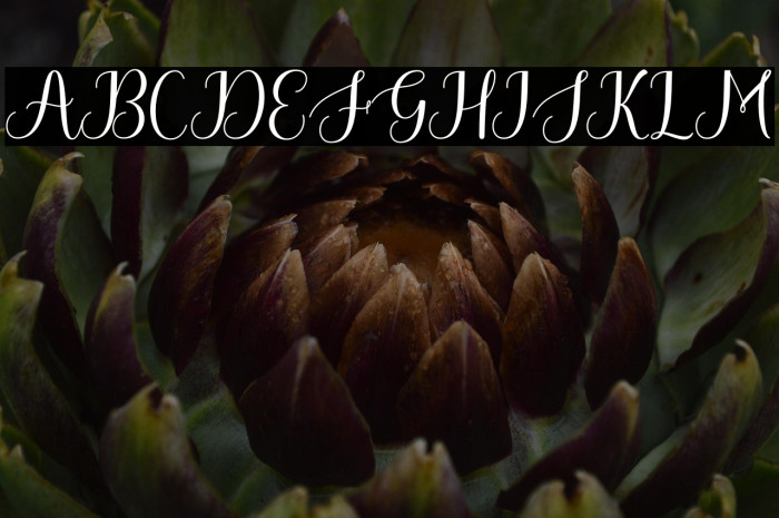 Hello Beloved Example 3