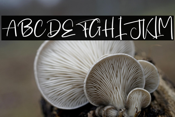 Hello Bestie Example 1