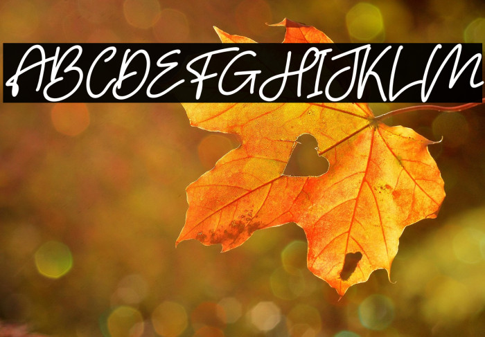 Hello Bird Italic Example 3