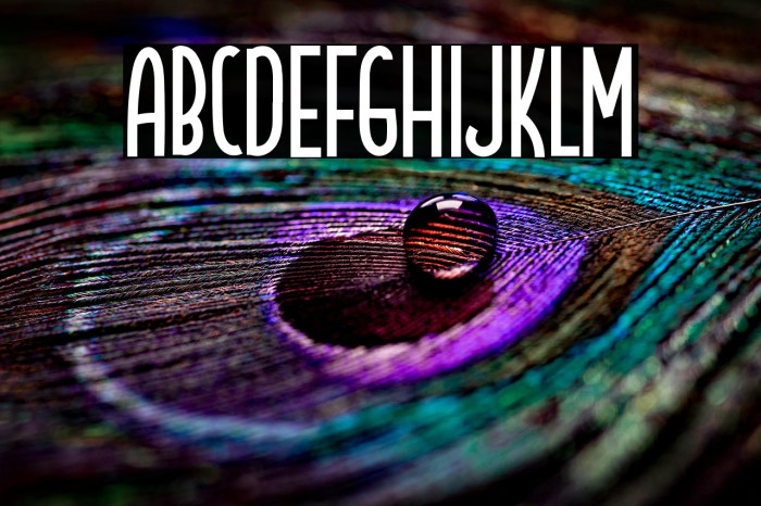 Hello Bird Example 2