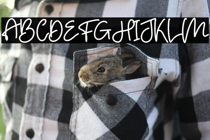 Hello Bird Example 1