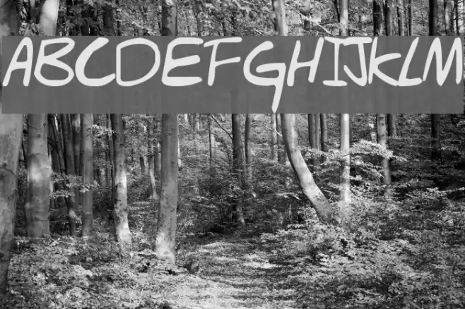 Hello Brady! Font examples