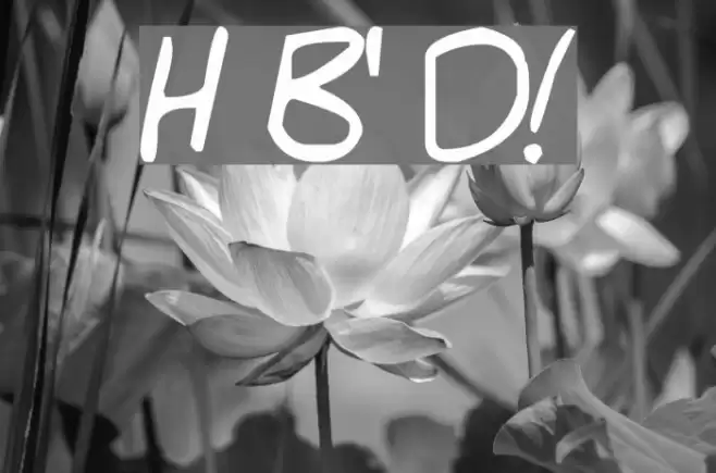 Hello Brady's Dad! Font examples