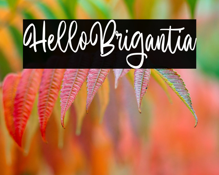 Hello Brigantia Example 1