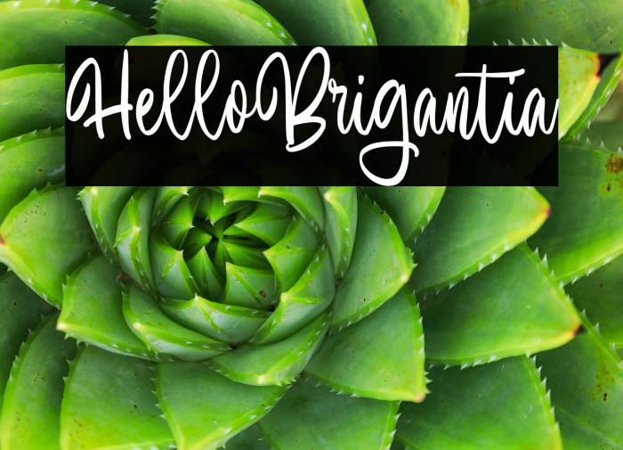 Hello Brigantia Example 3