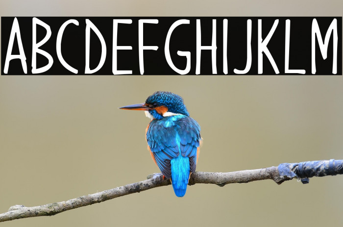 Hello Brilliant Example 1