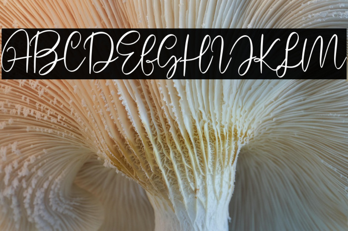 Hello Brother Example 1