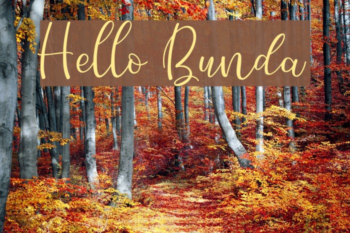 Hello Bunda Font examples