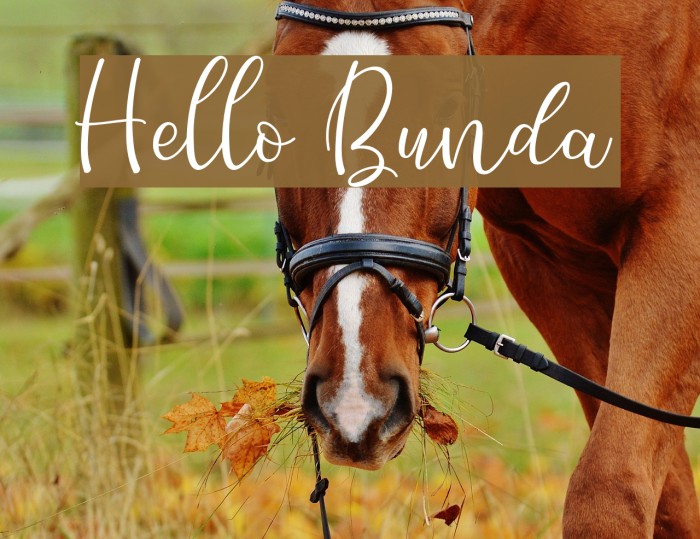 Hello Bunda Font examples