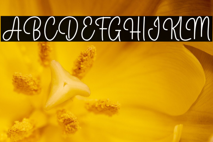 Hello Bunny Example 1