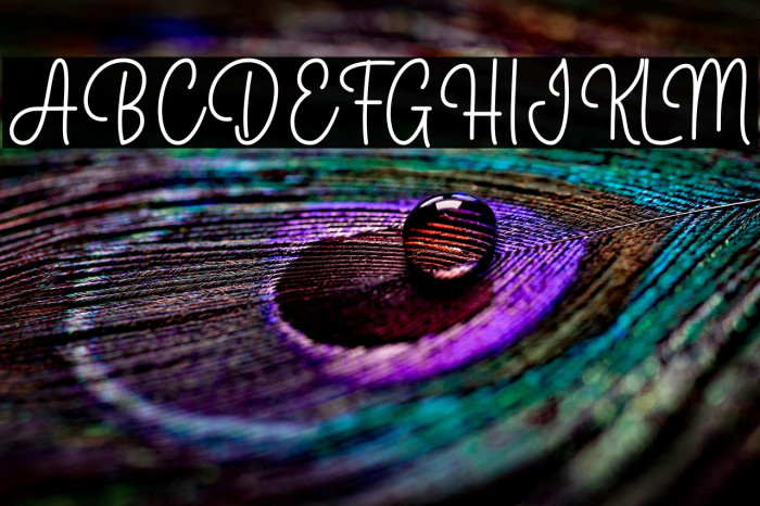 Hello Bunny Example 2