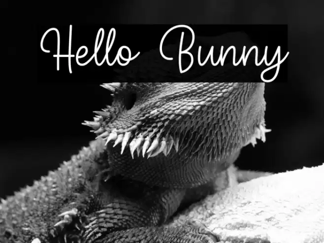 Hello Bunny Font examples