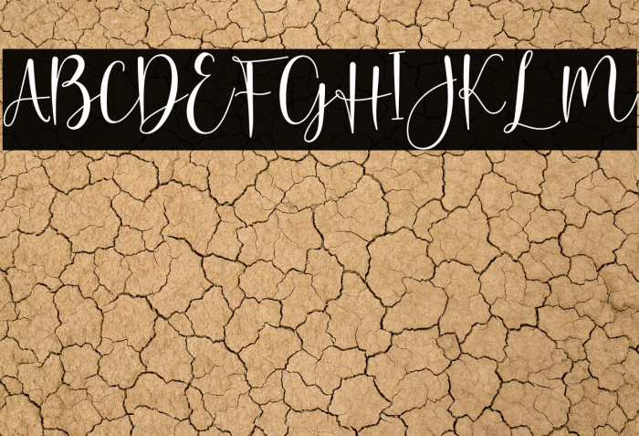 Hello Butterfly Example 2