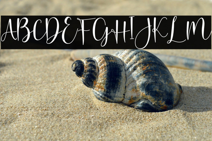 Hello Butterfly Example 3