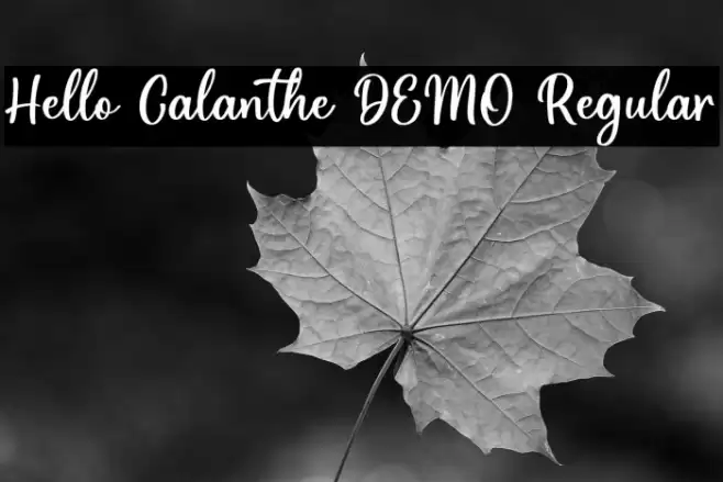 Hello Calanthe DEMO Regular Font examples