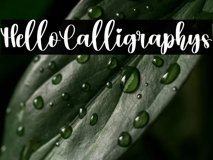 Hello Calligraphys Example 1