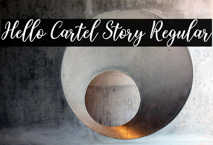 Hello Cartel Story Regular Example 1